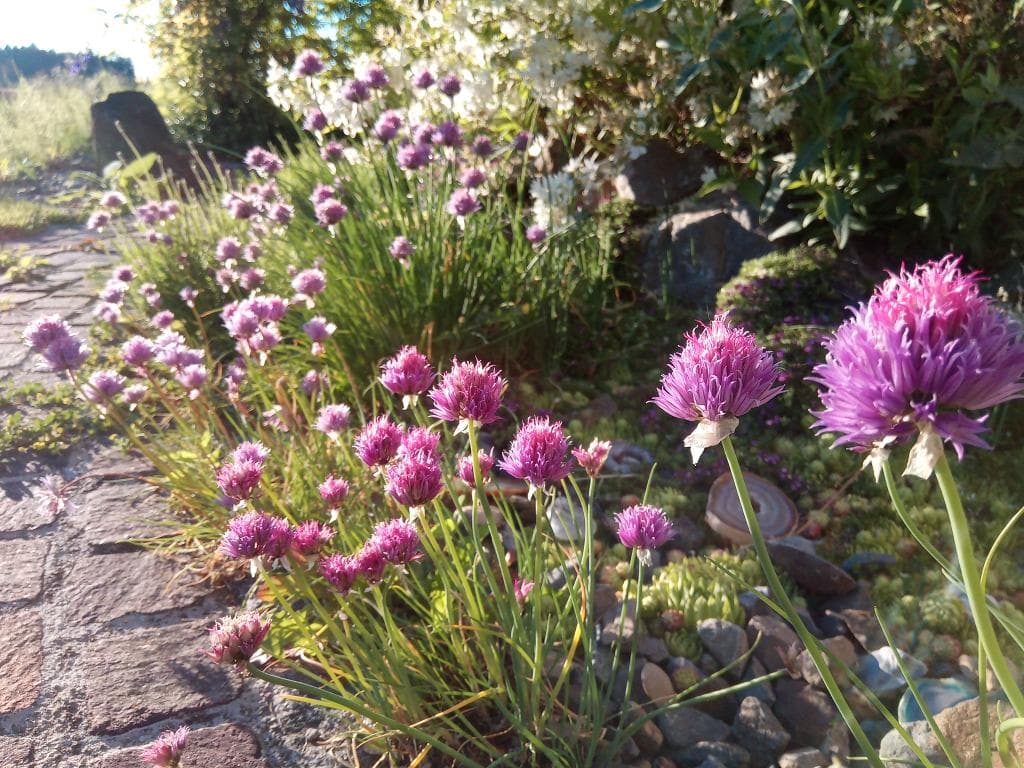 Naturnahe Gartengestaltung